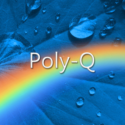 Poly-Q